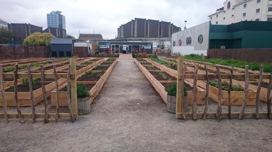 Kakano Cafe and Cookery School